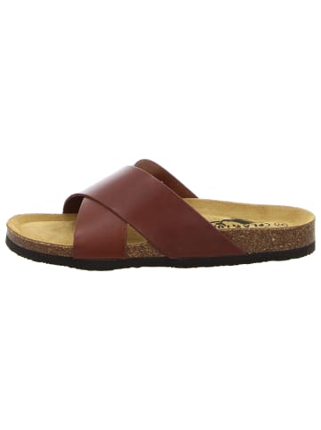 Plakton Pantolette in braun