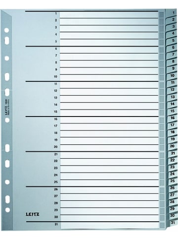 Leitz Register A4 1-31 PP grau mit Deckblatt