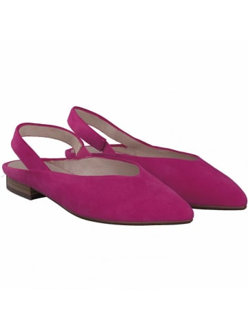 PETER KAISER PETER KAISER Takara in pink