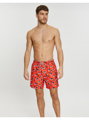 Threadbare Badehose THB Swim Short Killer Whale in rot