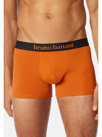 Bruno Banani Retro Short / Pant Flowing in Kürbis / Schwarz