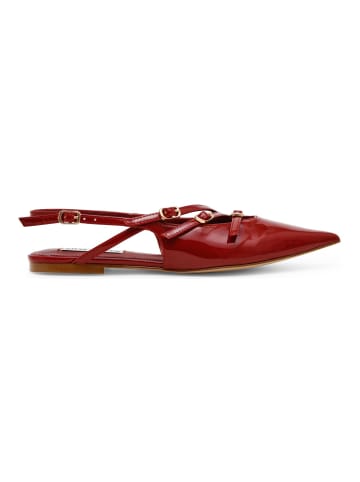 Steve Madden Ballerinas in Weinrot