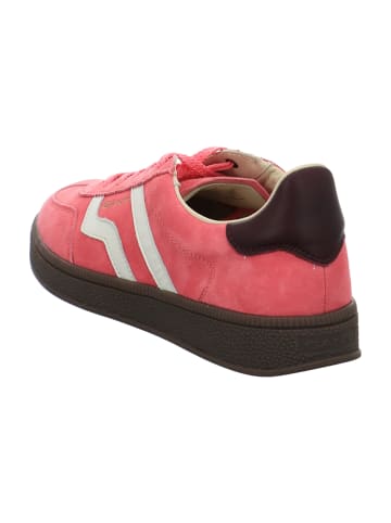Gant Sneaker Low in Pink