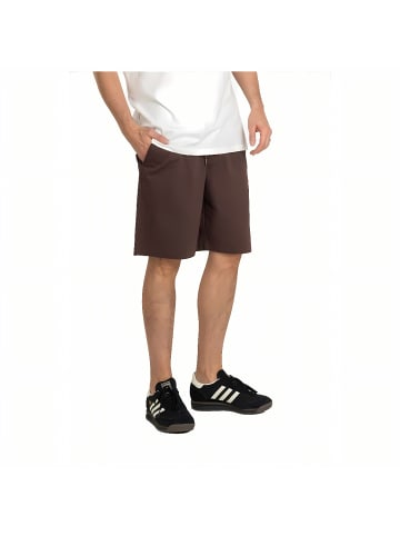 Reell Short "Reflex Lazy Short" in Braun