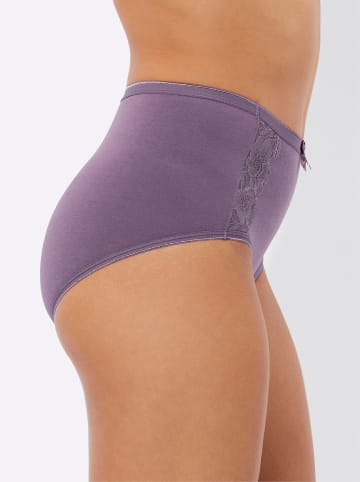 Sieh an! Taillenslip in khaki + rosenholz + apricot + feige