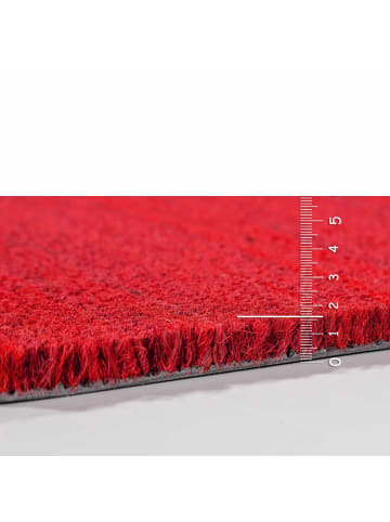 Astra Fußmatte KEIRAF in Rot