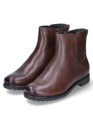 Ara Shoes Stiefeletten in Braun