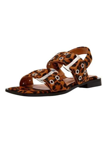 Steve Madden Sandalen in Leopard