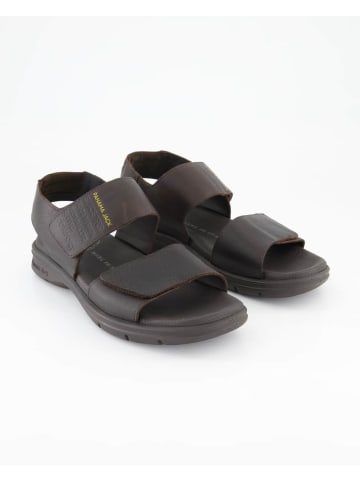 PANAMA JACK Sandalen in Braun