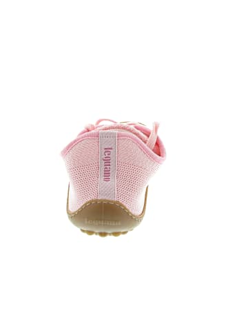 Leguano caribeo sportlicher Schnürer Rosa