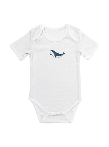 Schlummersack Bio Baby-Bodys kurzarm 5er-Pack in Hellblau