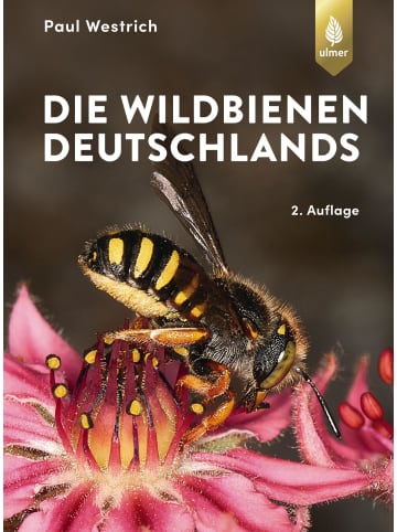 Ulmer Die Wildbienen Deutschlands