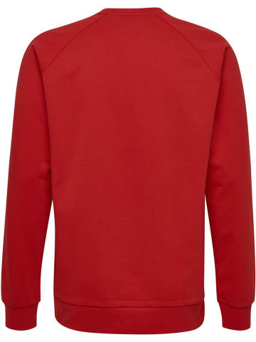 Hummel Sweatshirt Raglanärmel Hmlgo Herren in TRUE RED