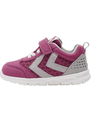 Hummel Hummel Sneaker Crosslite Infant Unisex Kinder Leichte Design in PURPLE