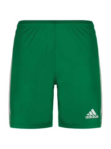 adidas Performance Trainingsshorts Squadra 21 in grün / weiß