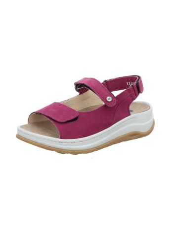 wolky Sandale in lila