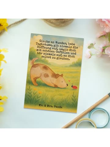 Mr. & Mrs. Panda Postkarte Hund Marienkäfer Design mit Spruch in Weiß