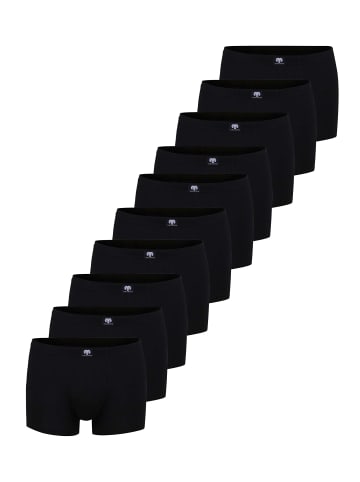 CECEBA Pants 10Er Pack Daytona in schwarz-dunkel-uni