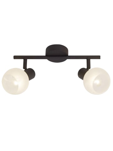 Brilliant Gabon Spotrohr 2flg in braun/weiß-alabaster