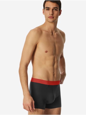 Schiesser Trunk 95/5 Organic Cotton in sortiert 13