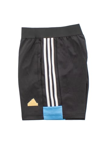 adidas Shorts NTPK House of Tiro Nations Pack in Schwarz
