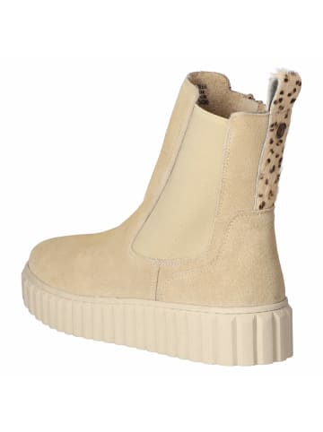Bullboxer Chelsea Boots in taupe
