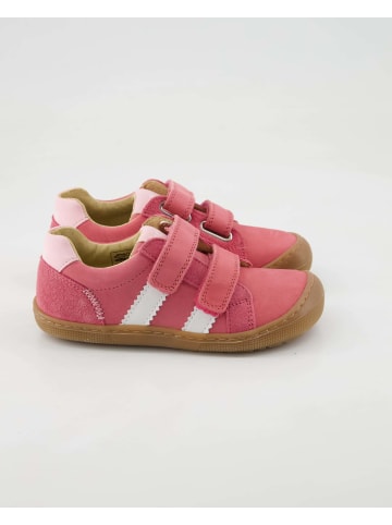 KOEL Klettschuhe in Rot