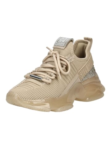 Steve Madden Sneaker in Beige
