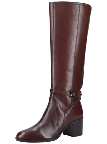 Geox Stiefel in Cognac