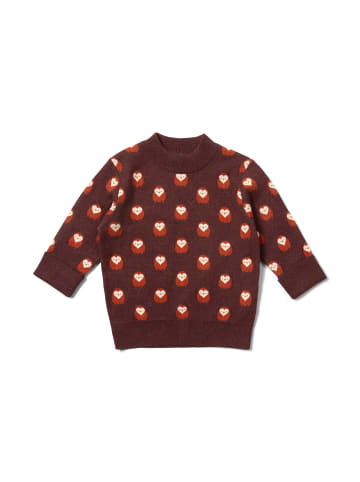 Little Green Radicals Organic Knitted Jumper in Brown