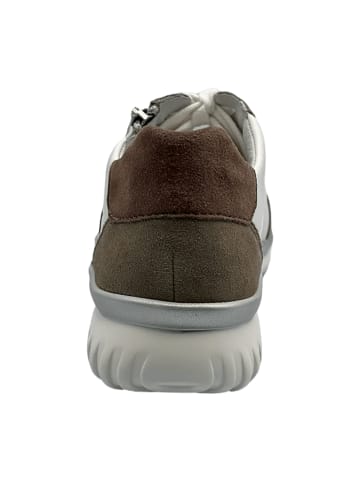 Semler Komfort Schnürschuhe in Beige