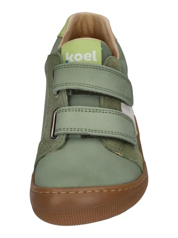 KOEL Sneaker Low DENIS NAPA NEW 3.0 in grün