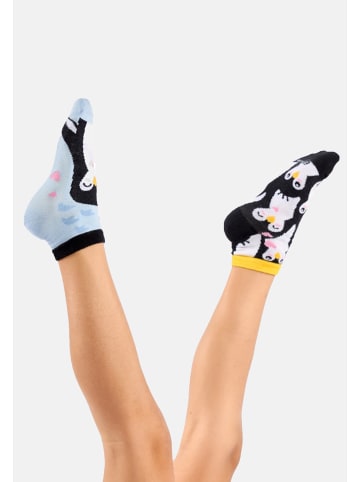 Dedoles 1 Paar Socken Pinguin unterschiedliches Design in Mehrfarbig
