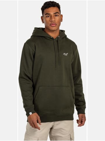 Reell Hoodie "Staple Logo Hoodie" in Grün