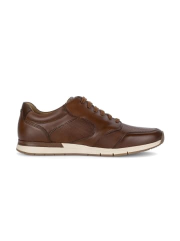 Pius Gabor Sneaker low in braun
