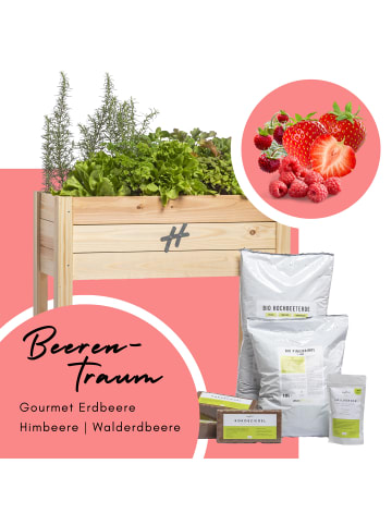 VCM  Set Hochbeet & Echtpflanzen Balkongarten & Erde in Beerentraum