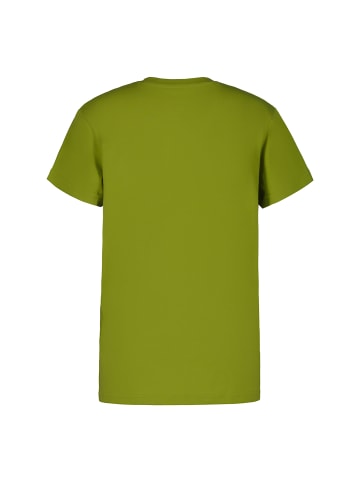 Icepeak T-Shirt in Grün