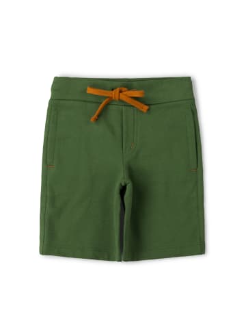 Little Green Radicals Comfy Jogger Shorts in Green
