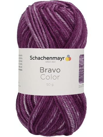 Schachenmayr since 1822 Handstrickgarne Bravo Color, 50g in Violett Denim