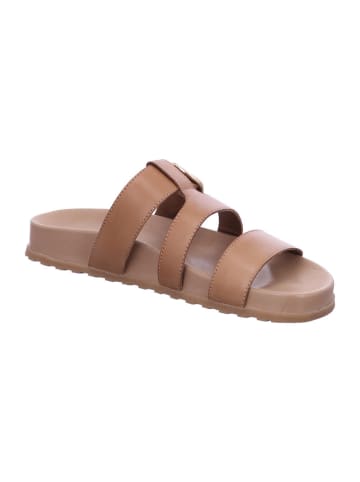 Paul Green Pantolette in braun