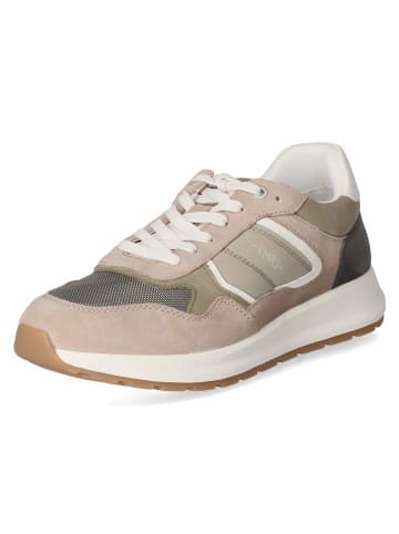 Low Sneaker in grün