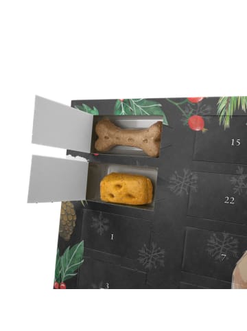 Mr. & Mrs. Panda Hund Adventskalender Langhaar Collie Moment mit... in Kreidetafel