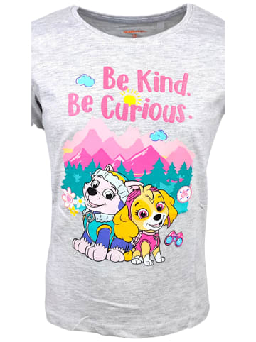 Paw Patrol Langarmshirt Paw Patrol Skye & Everest in Hellgrau