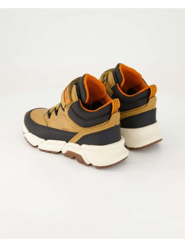 Geox Klettstiefel in Braun
