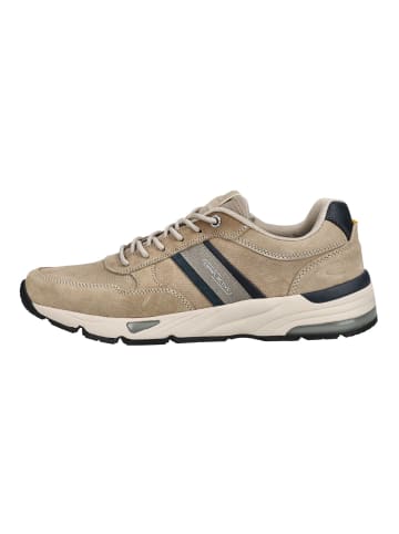 Camel Active Sneaker in Taupe
