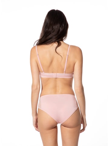 SHORT STORIES Panty in Rosa