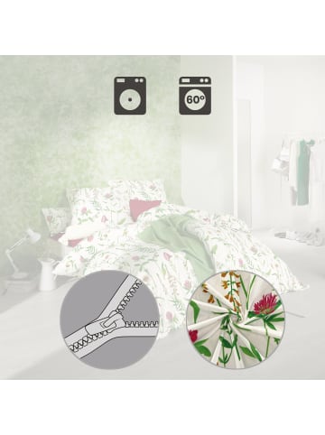 Erwin Müller Single-Jersey Bettwäsche in rot-grün