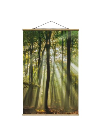 WALLART Stoffbild mit Posterleisten - Sonnentag im Wald in Grün