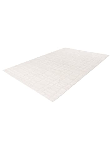 Teppich Boss Kurzflor Teppich Alwin 125 Beige - Beige