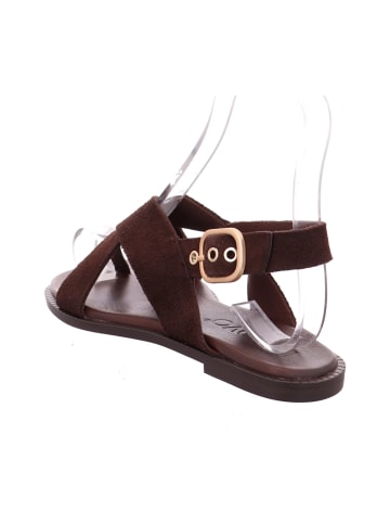 INUOVO Zehenstegsandalen in Braun